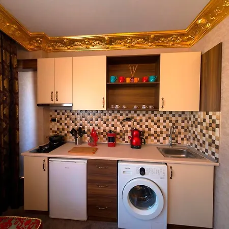 Appartamento The Pashas House Provincia di Istanbul