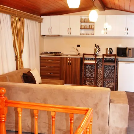 The Pashas House *